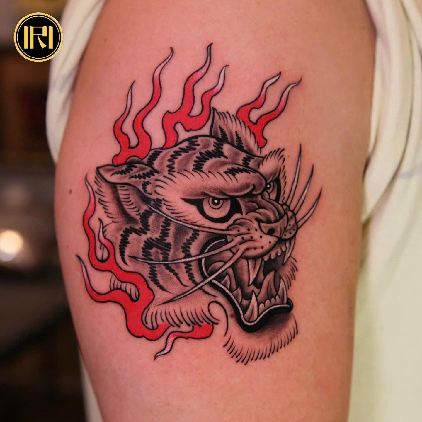 New School & Old School